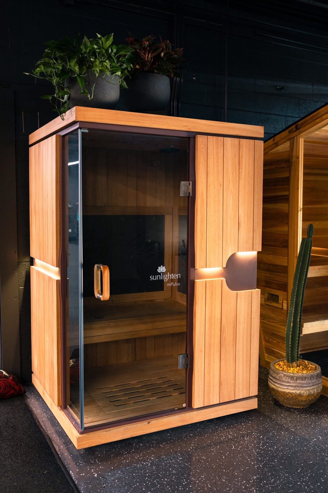 Infrared Sauna